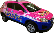 Vehicle Wraps